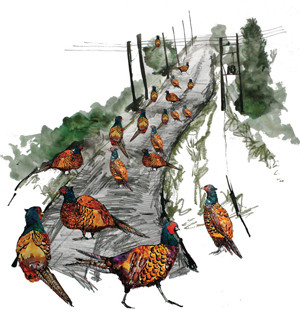 a painting of pheasants on a road